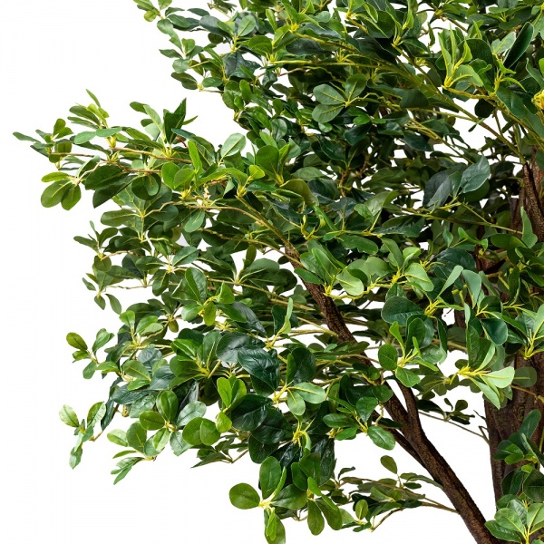 Дерево штучне Піттоспорум 250 см на підставці 360559