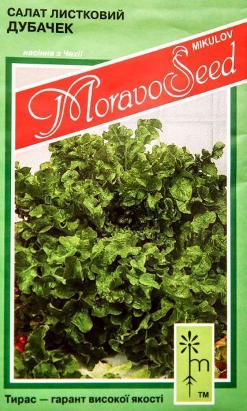 Насіння MoravoSeeds салат Дубачек 0,8 г