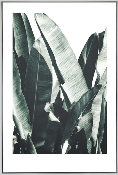 Картина на полотні Подих екватора 55x80 см ТЕРРАВОЛ 