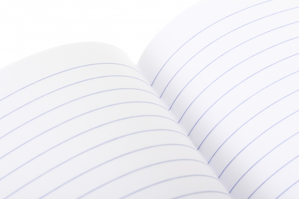 Тетрадь школьная Robot cat_25 24 листа в линейку Nota Bene