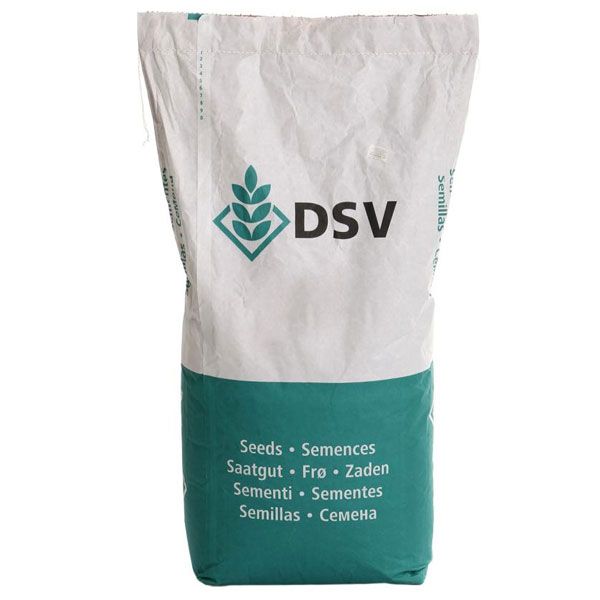 Насіння Euro Grass газонна трава Sport 10 кг