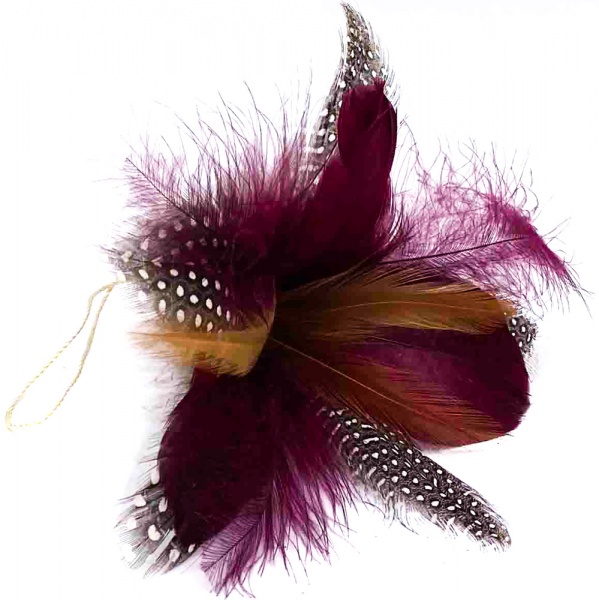 Квітка декоративна Dalian Everglory лілія пір'яна бордо