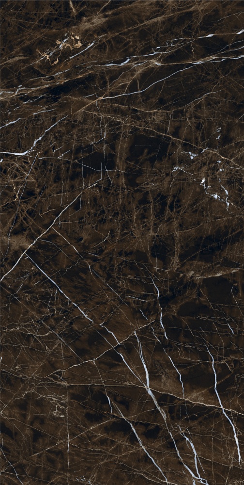 Плитка Allore Group Pulpis Brown F P R Full Lappato 60х120 см