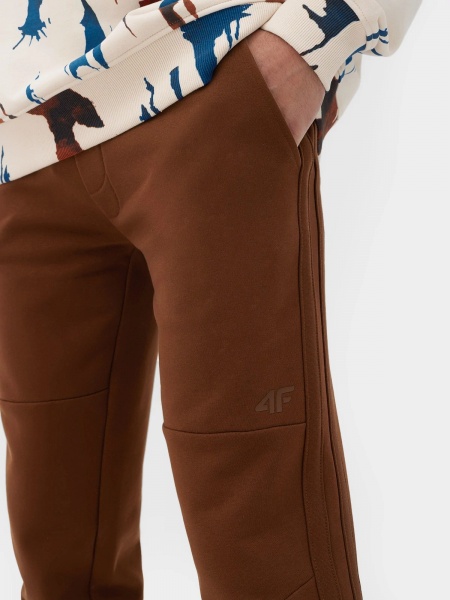 Брюки 4F 4FRSS23TTROM698-81S р. M коричневый