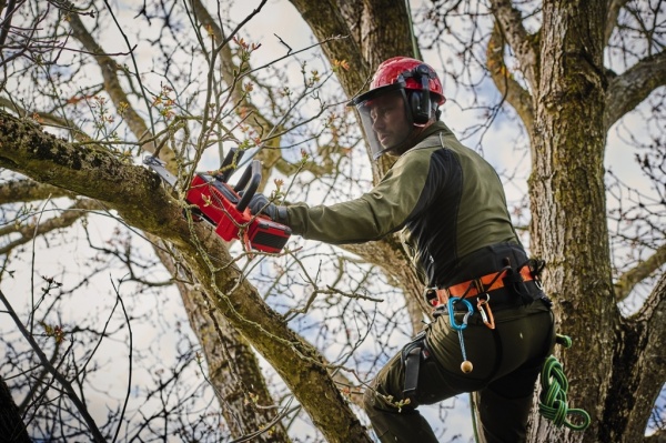 Пила мини аккумуляторная Einhell FORTEXXA 18/20 TH 4600020