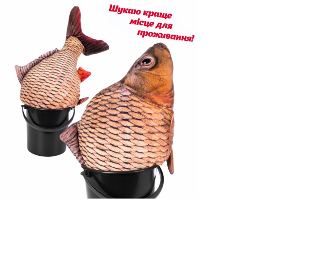 Мягкая игрушка DGT-PLUSH Рыба 68 см коричнево-золотой RUB1_SU