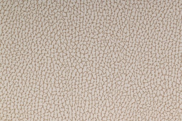 Стілець обідній Скіф МП Дана-М слонова кістка/бежевий