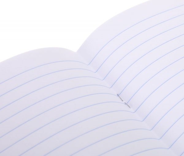 Тетрадь школьная 24 листа в линию 2021_2 Nota Bene