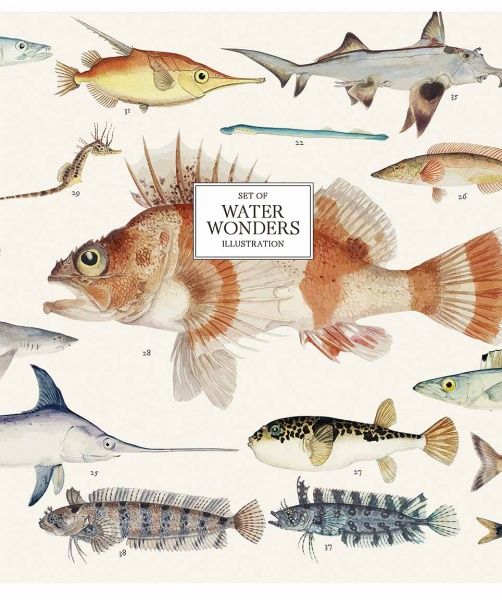 Тетрадь школьная Water Wonders B5 96 листов в линию Школярик