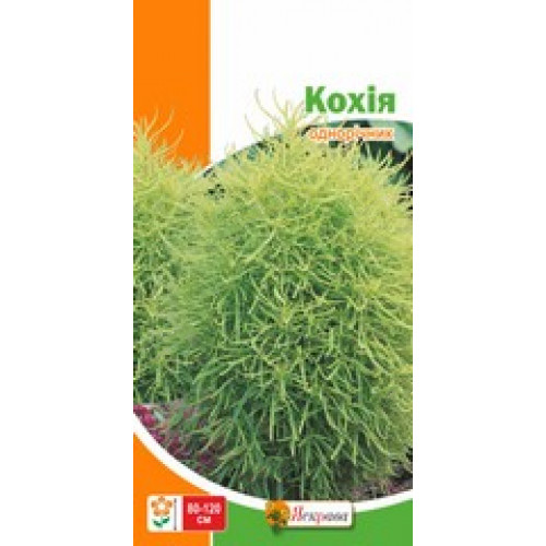 Семена Яскрава кохия Кохия