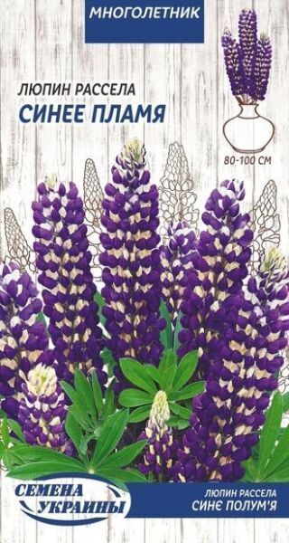Насіння Семена Украины люпин Рассела Синє полум'я 760500 0,5 г