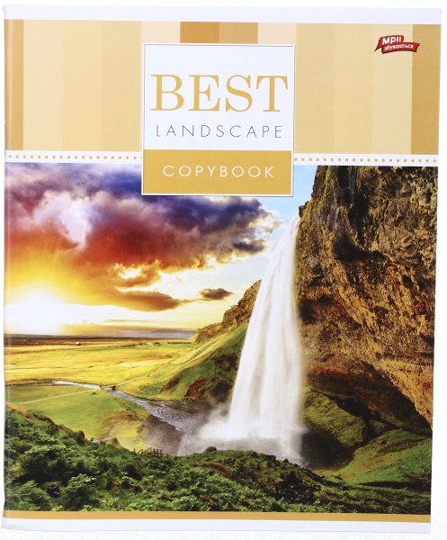 Тетрадь школьная 96 листов в клеточку в ассортименте Мечты сбываются