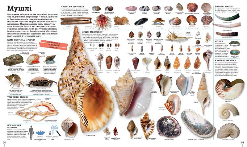 Книга «Дивипедія» 978-617-09-9237-6