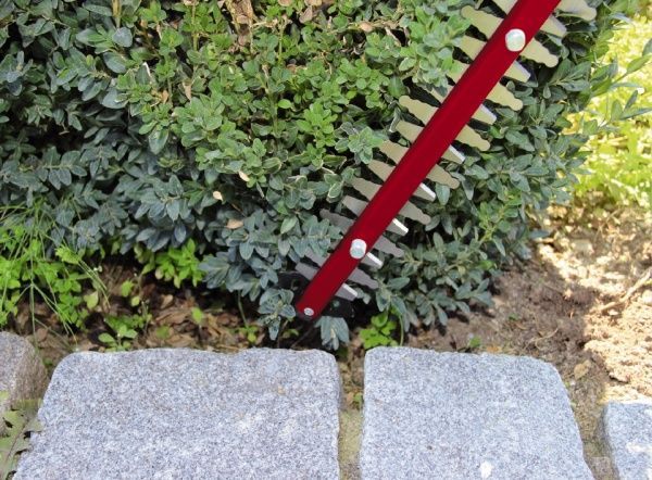 Кущоріз Einhell GC-EH 5550/1