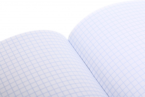 Зошит шкільний з глітером 96 аркушів у клітинку в асортименті Мрії збуваються