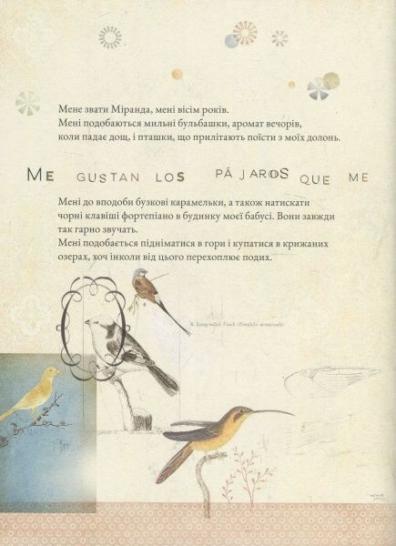 Книга Міранда Хорхе «Книга Амелія» 978-617-7537-22-8