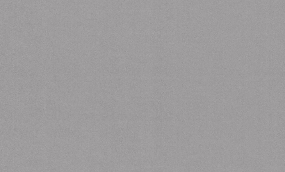 Шпалери вінілові на флізеліновій основі WallCOLOR W 151 C 09 1,06x10,05 м