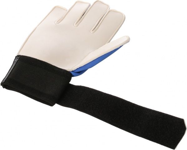 Вратарские перчатки Adidas ACE Training р. 9 синий AZ3682