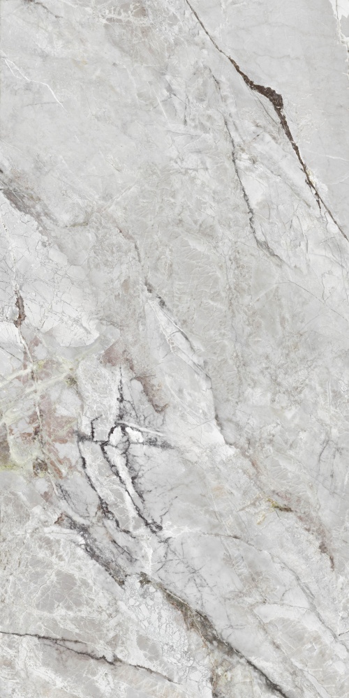 Плитка Allore Group Alpina Silver F P R Sumat 60х120 см