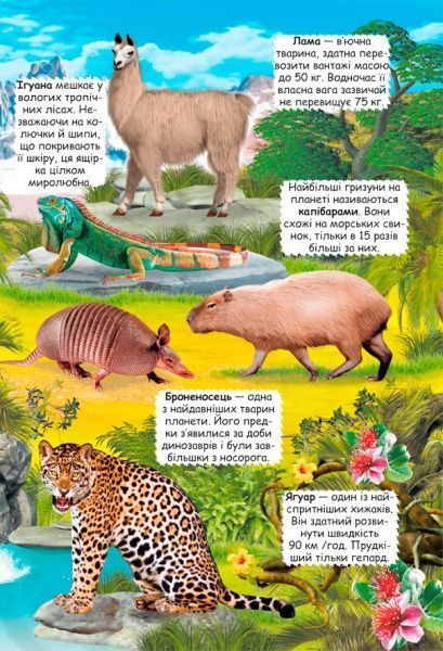 Книга «Книжка з секретними віконцями. Відкрий та дізнайся. Тварини планети Земля» 978-966-936-950-5