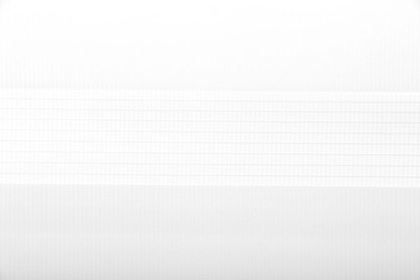 Ролета день-ночь Gardinia Зебра 61,5x150 см белая 