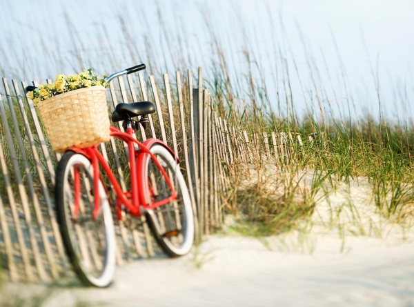 Репродукция Велосипед с цветами-2 60x80 см Арт Фемелі 