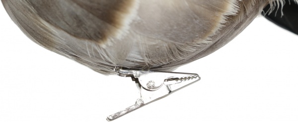 Фигурка декоративная на клипсе Птички 16х6,5х7 см HC4503230