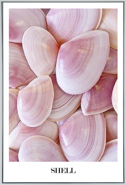 Картина на холсте М008 Shell 55x80 см ТЕРРАВОЛ 