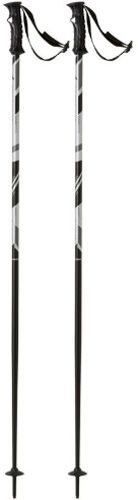 Гірськолижні палиці TECNOPRO Carve 110 см