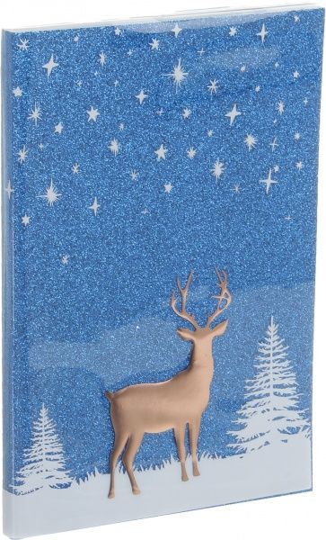 Набор принадлежностей новогодний Sparkle книга для записи А5 в линию 80 листов и пенал 