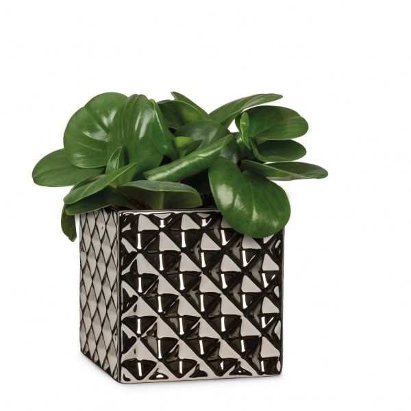 Кашпо керамічне Scheurich Crystal квадратний 1,323л чорний металік 