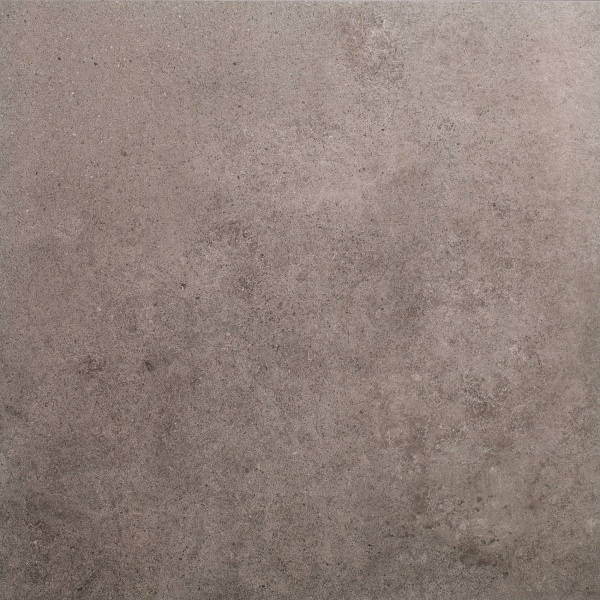 Плитка Allore Group Victoria light grey F PCR R 20 Mat 60x60 