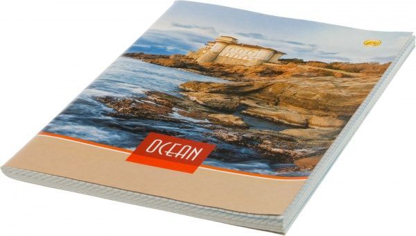 Тетрадь школьная 96 листов в клетку 459449 Тетрада