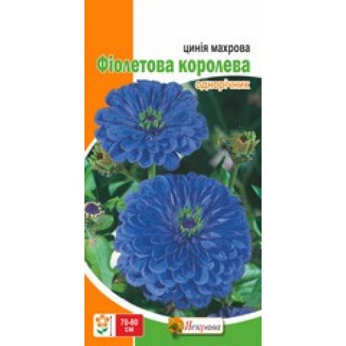 Семена Яскрава цинния Цинния Махрова Фиолетовая Королева