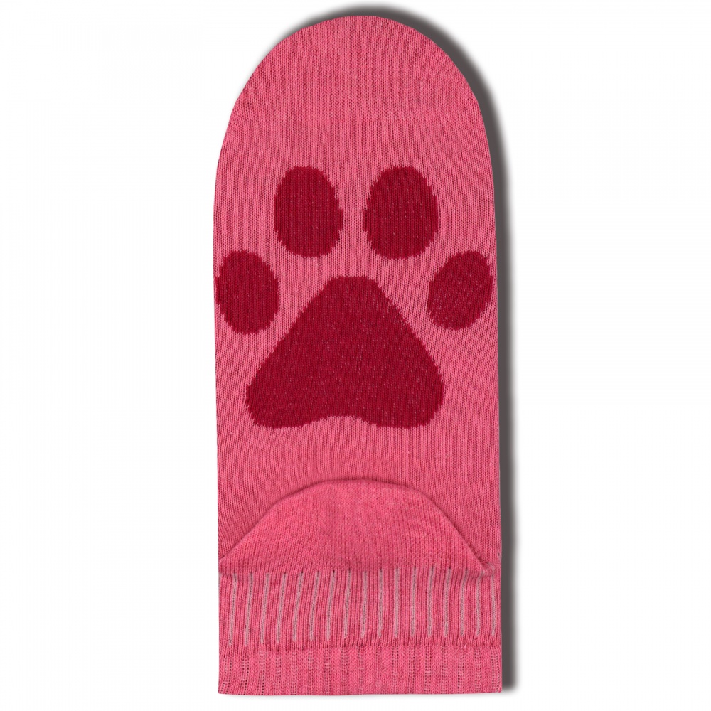 Шкарпетки жіночі Premier Socks з лапкою р.23-25 рожевий