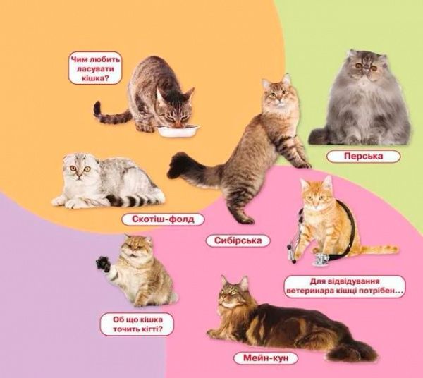 Книга «Свійські тварини. Книжка + віконця» 978-966-936-667-2