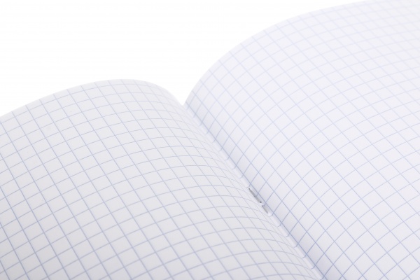 Зошит 48 аркушів клітинка 2023_2 Nota Bene