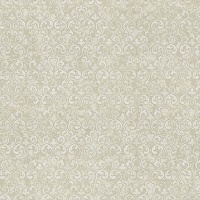 Шпалери Vinil Флоріан ДХV-1123/2