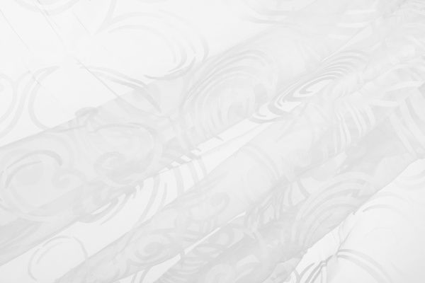 Тканина тюлева Органза BF T5016-white/280 ODev ut 280 см 