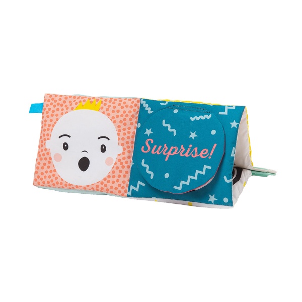 Игрушка Taf Toys Мои эмоции 12545