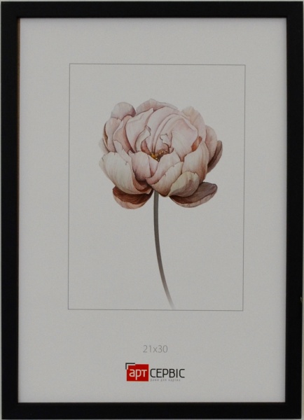 Рамка для фото Арт-Сервіс ЭА-01817 1 фото 21х30 см черный 