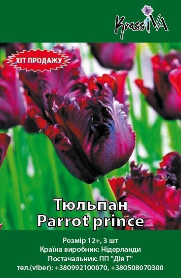 Луковица Тюльпан Parrot prince 3 шт. 