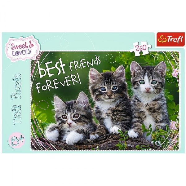 Пазли Trefl Котяча дружба 260 елементів 6332612