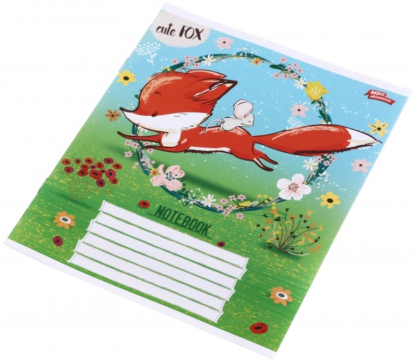 Зошит шкільний 12 аркушів у косу лінію в асортименті Мрії збуваються