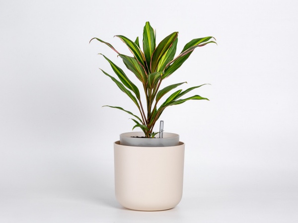 Вазон пластиковый Plastia с системой автополива Tolita 16 см круглый 1,3 л бежевый (1707081640) 