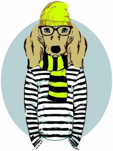 Картина по номерам эконом акриловая живопись по номерам Stylish dog Rosa Start 