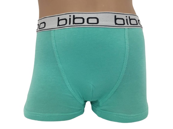 Трусы для мальчика Bibo р.80 зеленый 24051 