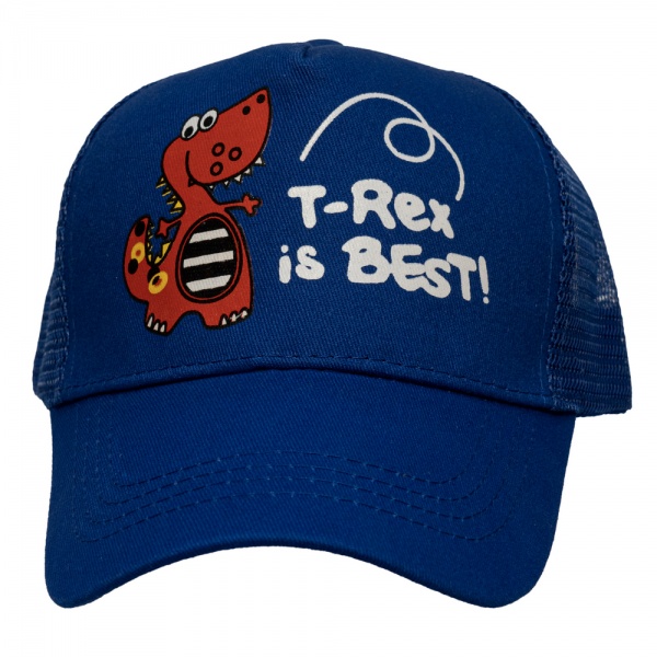 Бейсболка Devilon 3-8 лет р.48-54 синий 518899 