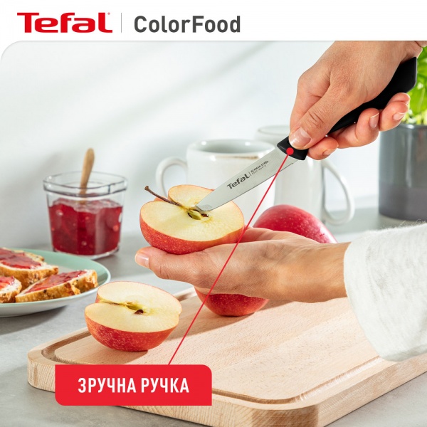 Набор ножей ColorFood 3 предмета K2733S04 Tefal