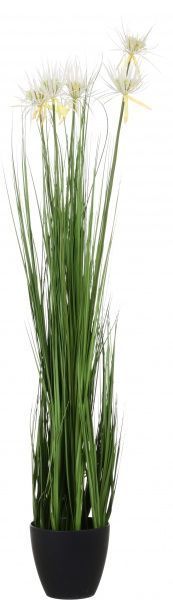 Композиция Cноп